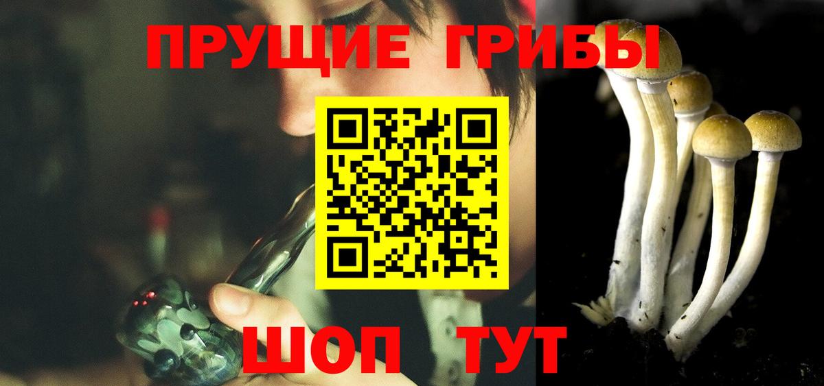 Ессентуки  Псилоцибиновые грибы Psilocybine cubensis  Вход с VPN 